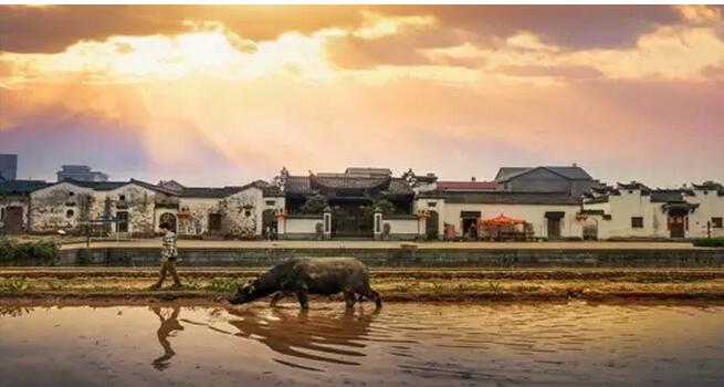 走进江山,走近同景新能源 走进江山,走近同景新能源