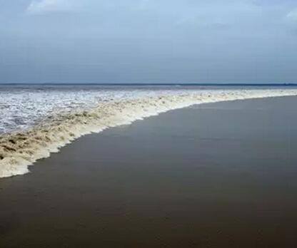 走进杭州,走近正泰新能源 走进杭州,走近正泰新能源